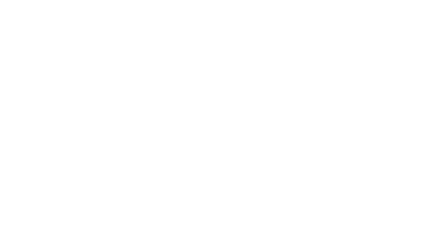 RaceRoom-logo